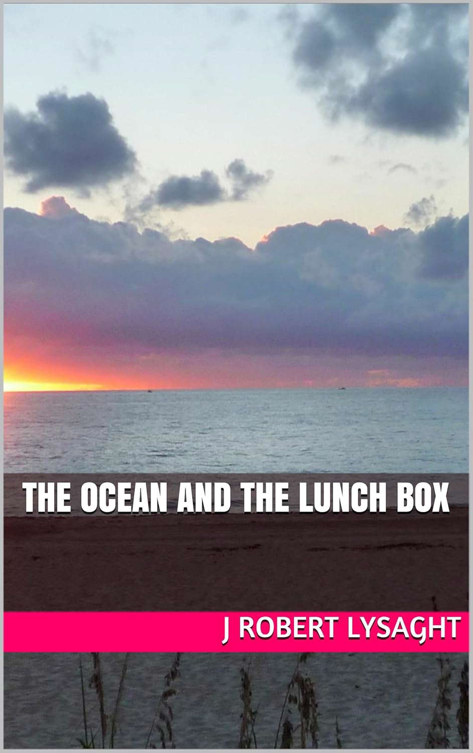 The Ocean And The Lunch Box poster