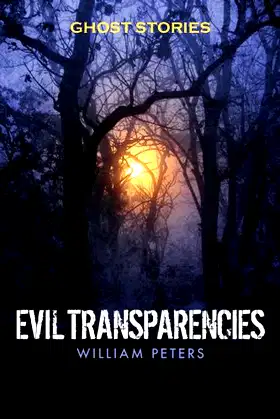 Ghost Stories: Evil Transparencies poster