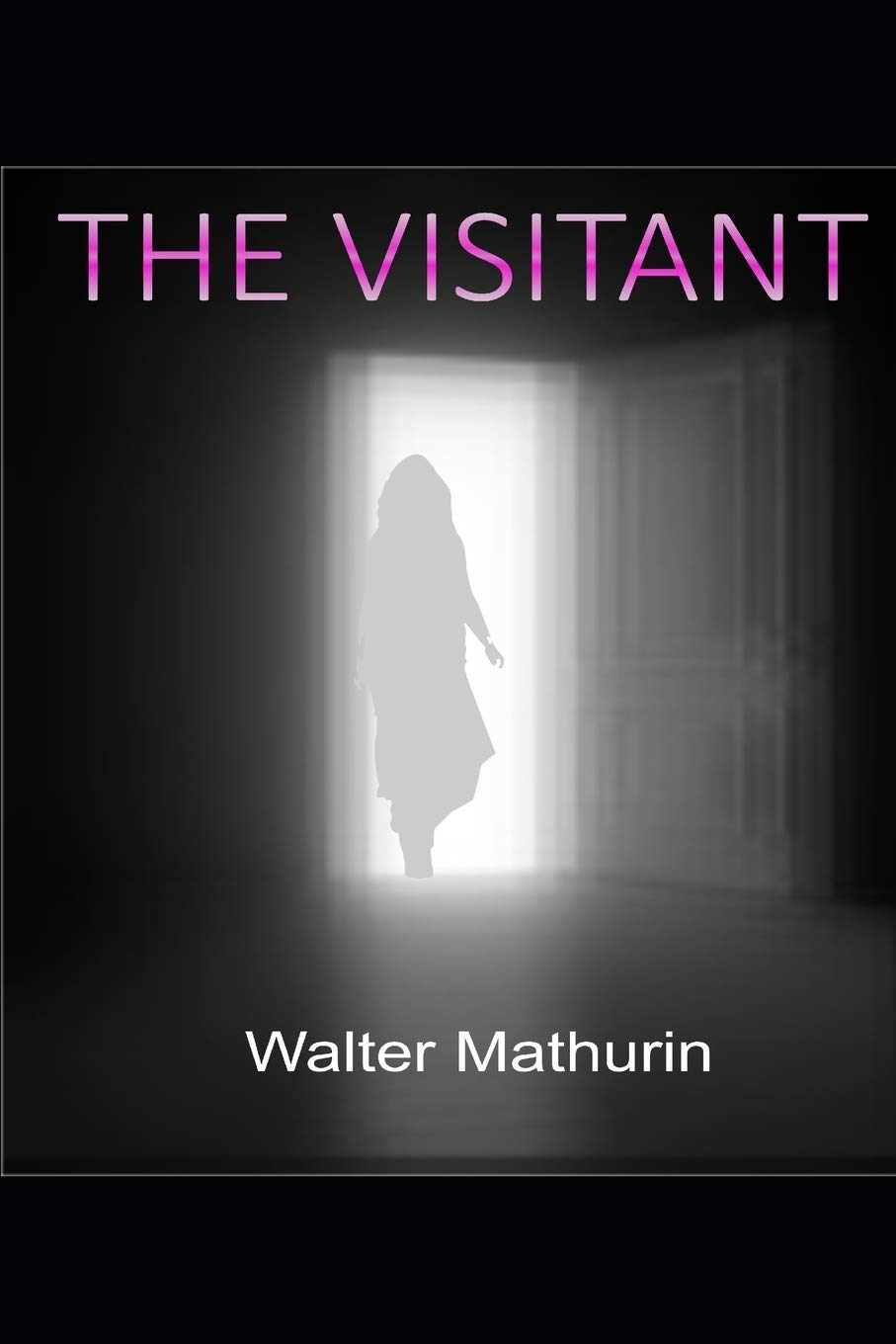 The Visitant poster