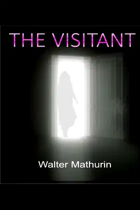 The Visitant poster