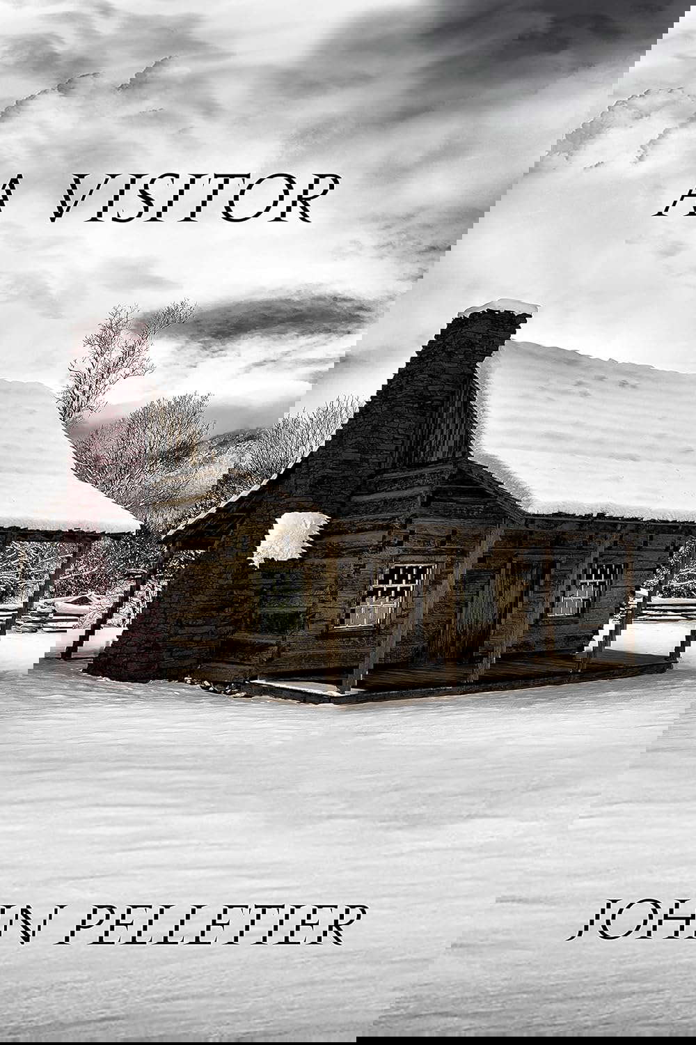 A Visitor poster