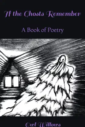 If The Ghosts Remember (Pocket Edition): A Book of Poetry poster