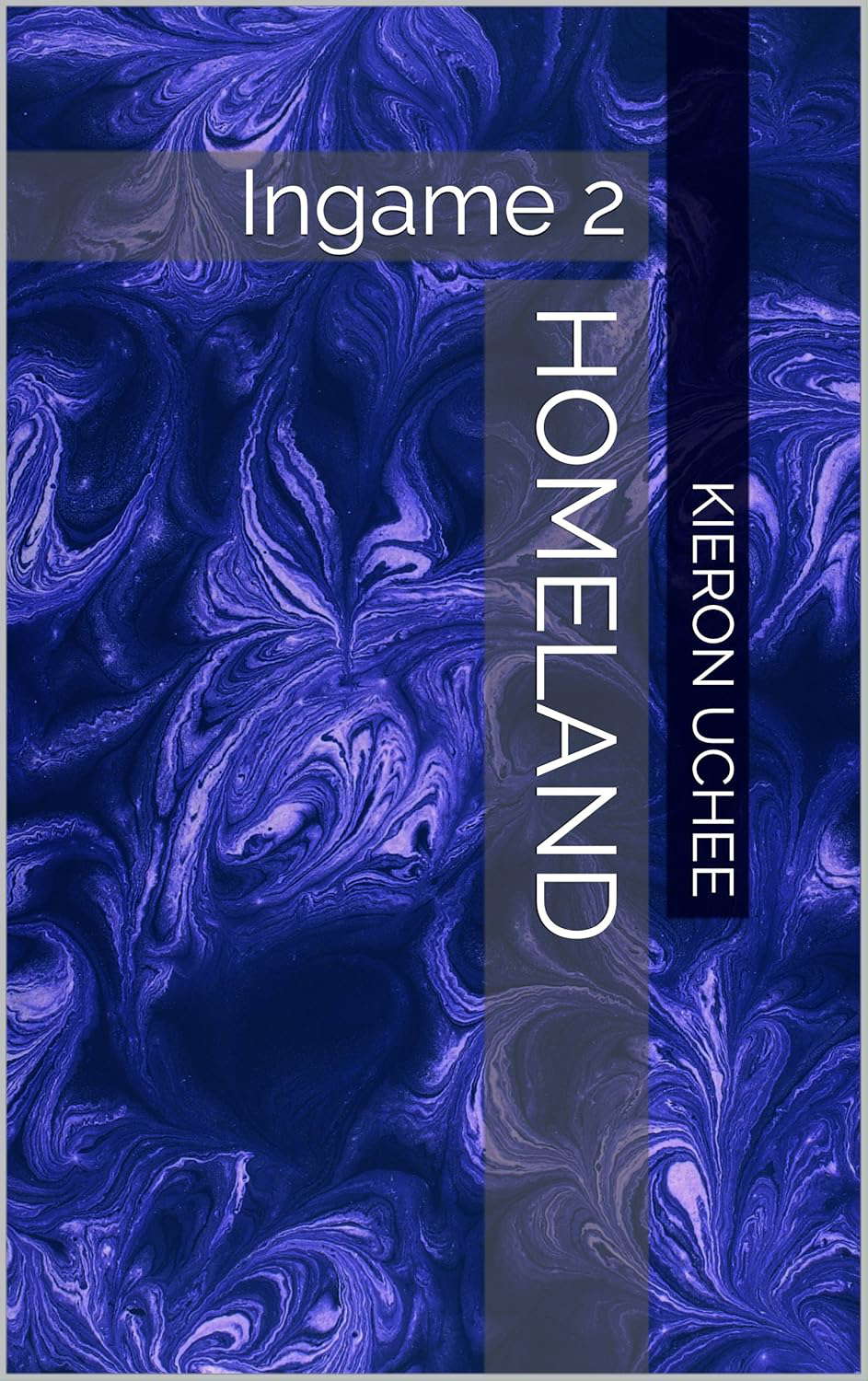 Homeland: Ingame 2 poster