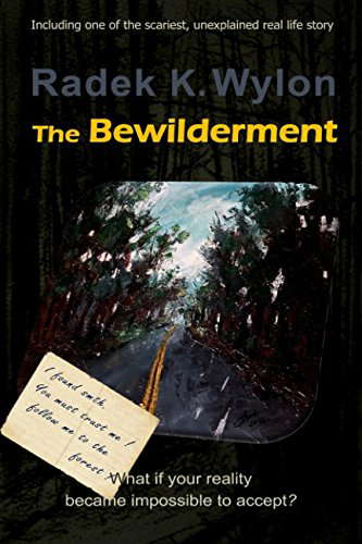 The Bewilderment poster