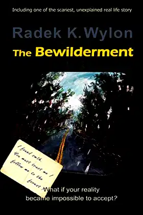 The Bewilderment poster