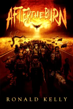 After the Burn poster