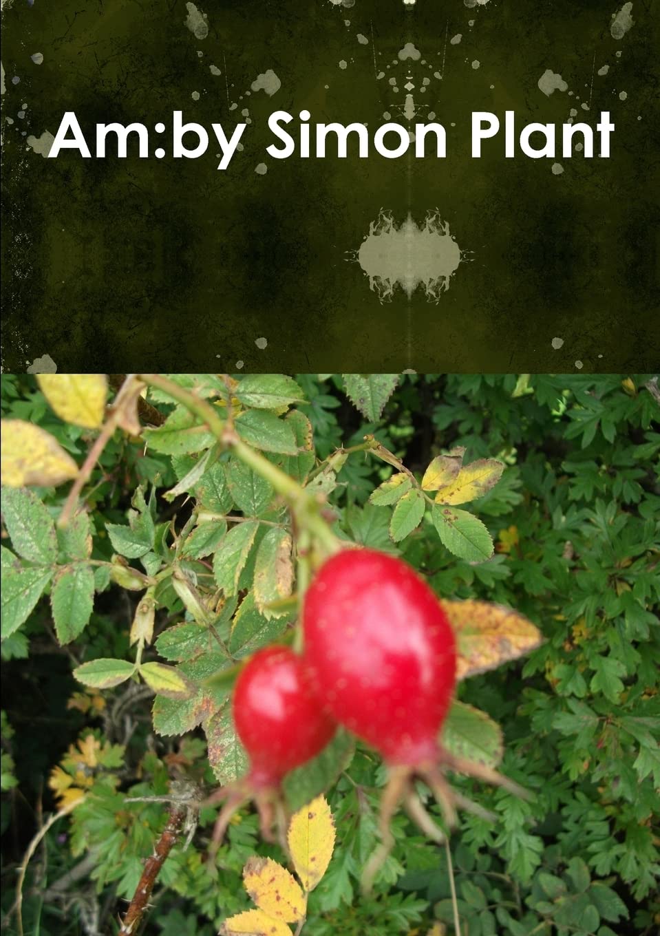Am poster