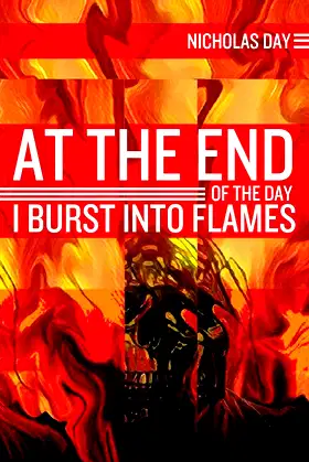 At the End of the Day I Burst into Flames poster