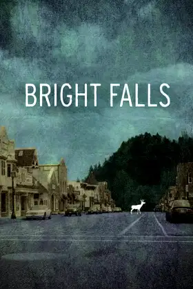 Bright Falls poster