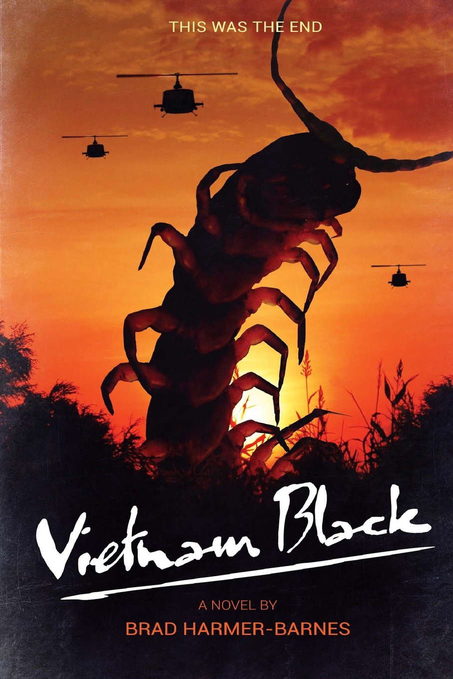 Vietnam Black poster