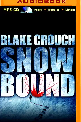 Snowbound poster