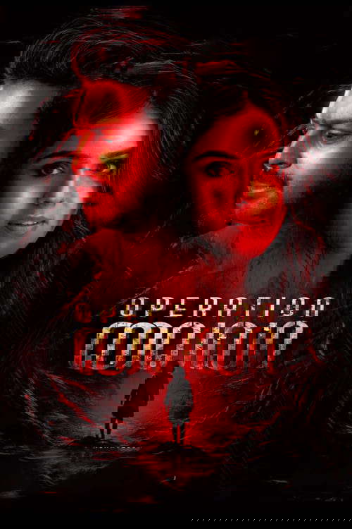 Operation Laila poster