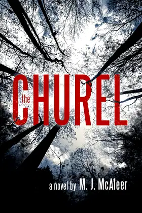 The Churel poster