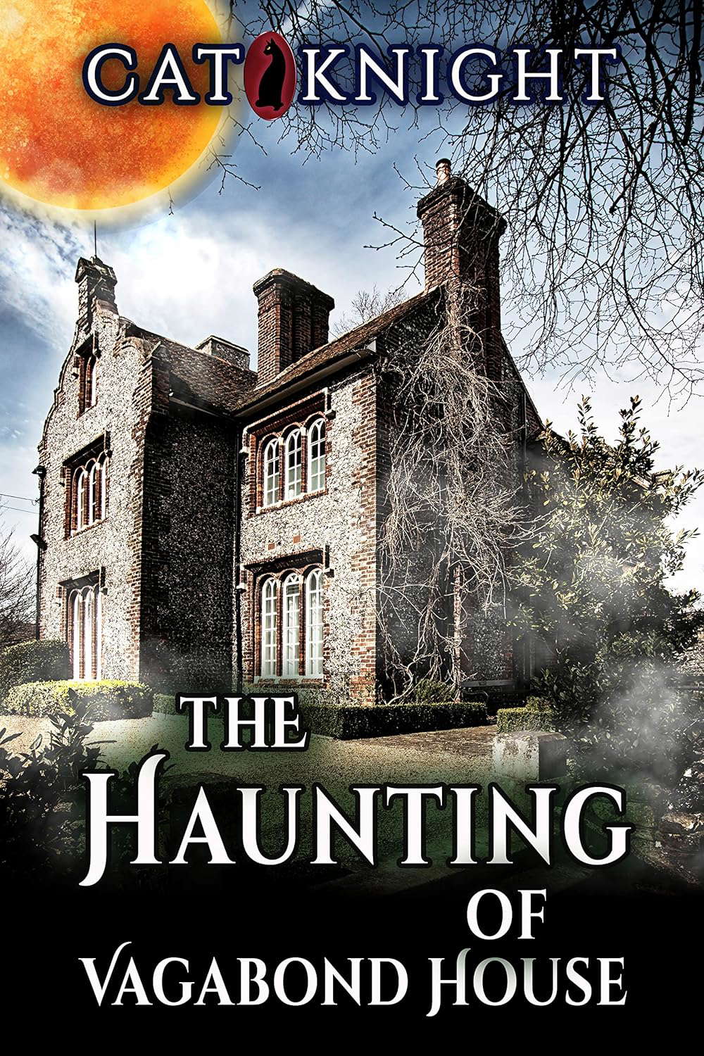 The Haunting of Vagabond House poster