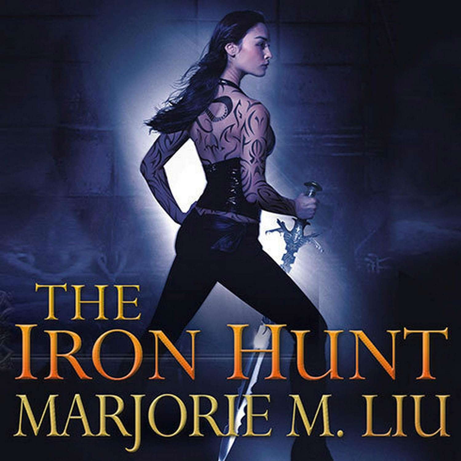 The Iron Hunt (The Hunter Kiss Series) poster