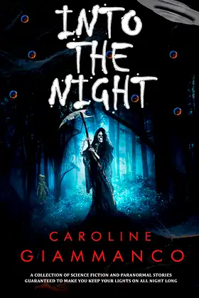 Into The Night poster