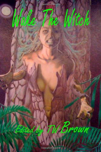 Wake The Witch poster