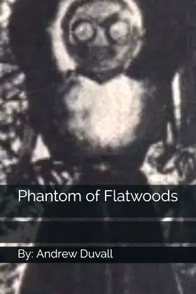 Phantom of Flatwoods poster