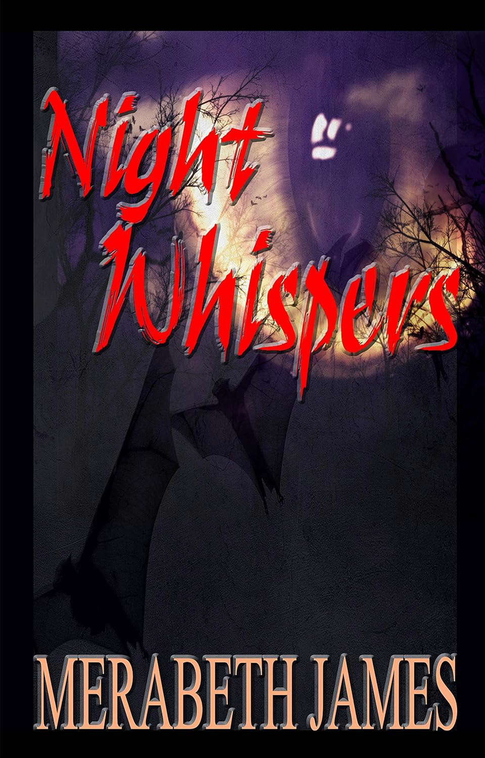 Night Whispers (A Ravynne Sisters Paranormal Thriller Book 15) poster