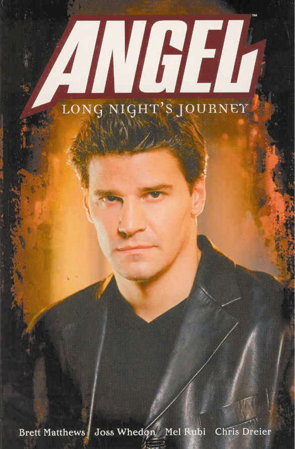 Angel: Long Night's Journey poster