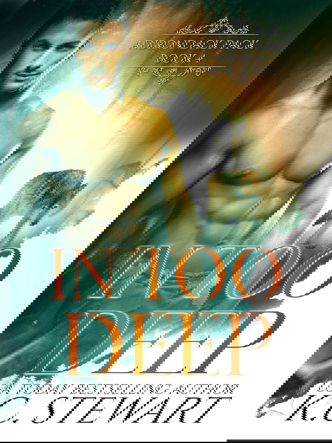 In Too Deep (Adirondack Pack Book 4) poster