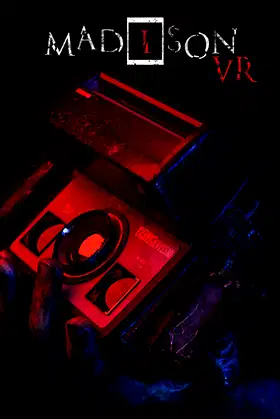 MADiSON VR poster