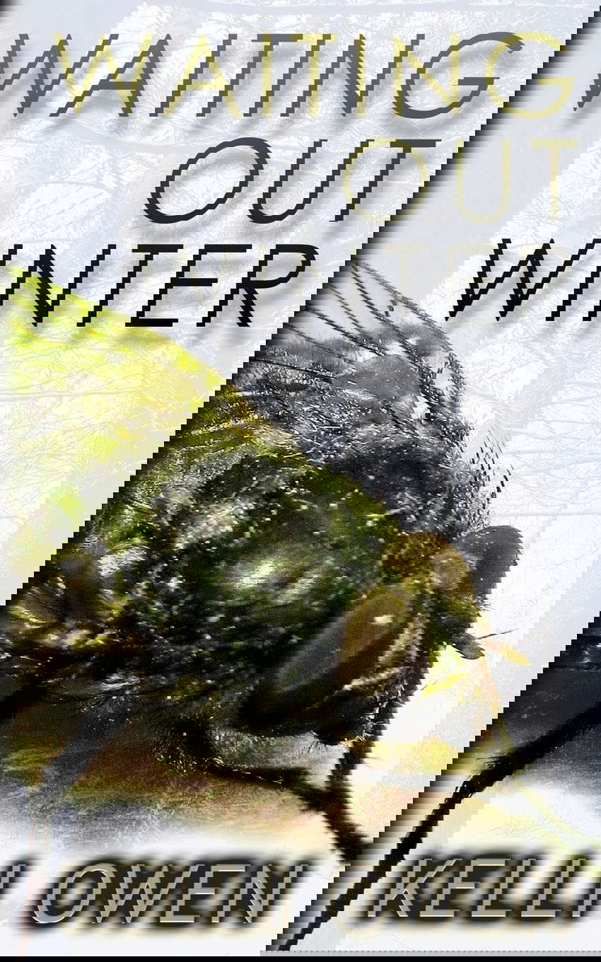 Waiting Out Winter poster