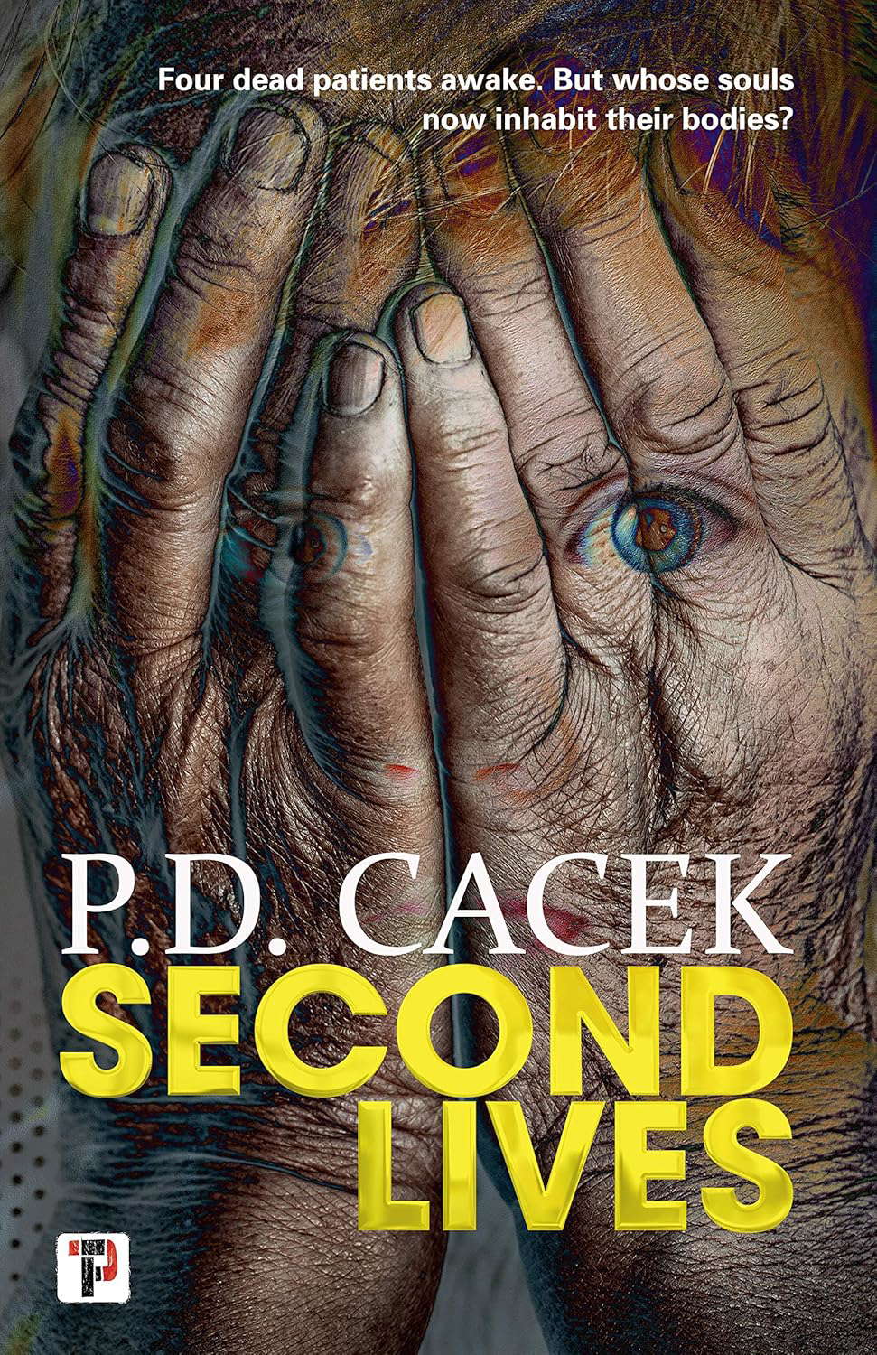 Second Lives (Fiction Without Frontiers) poster