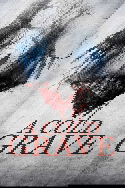 A Cold Grave poster