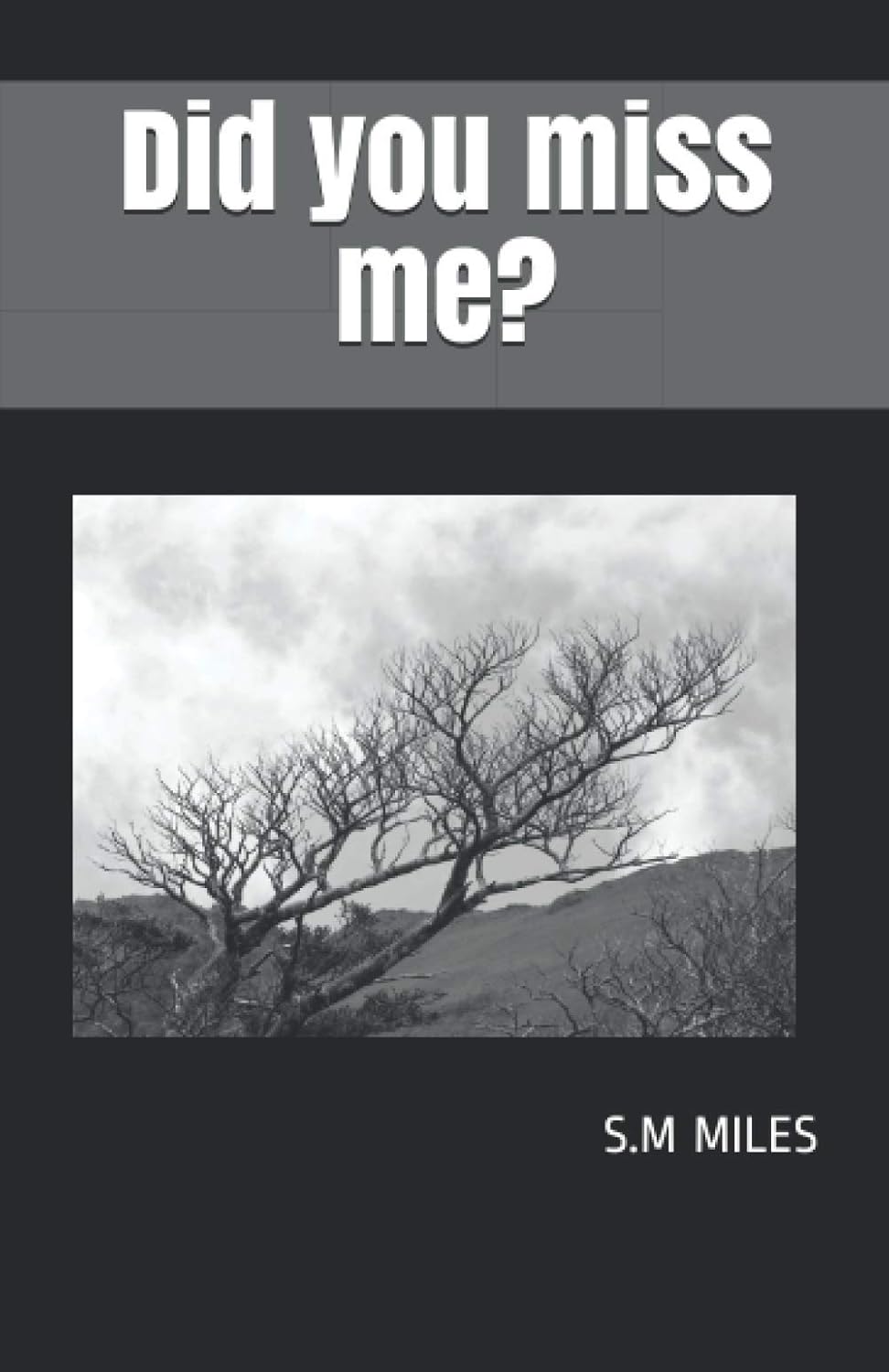 Did you miss me? poster