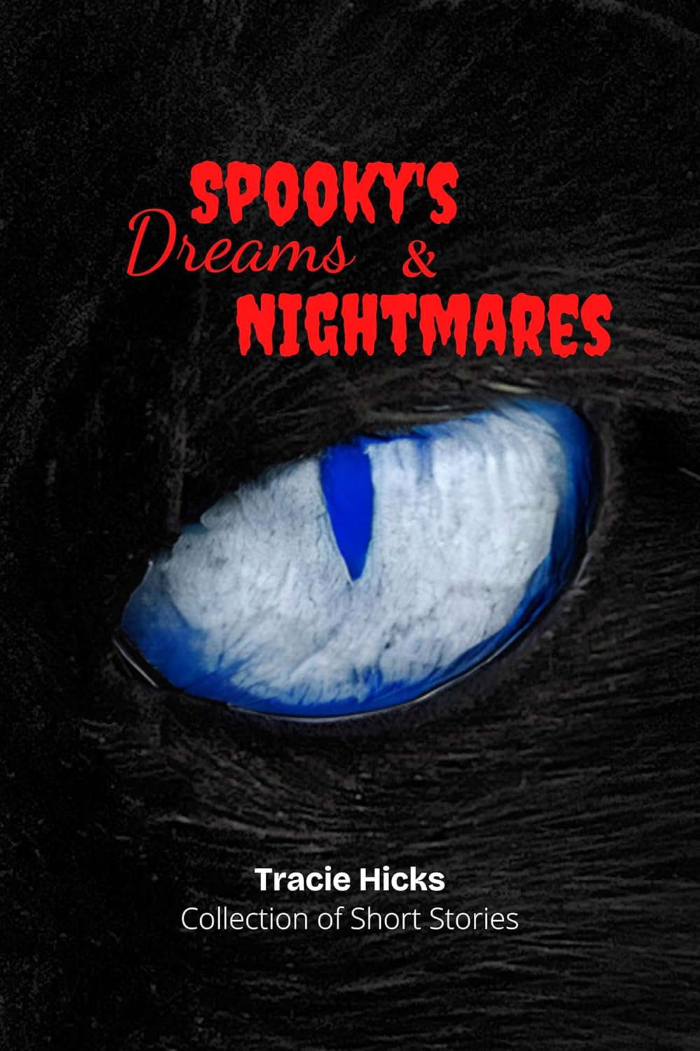 Spooky's Dreams & Nightmares: Collection of Short Stories poster