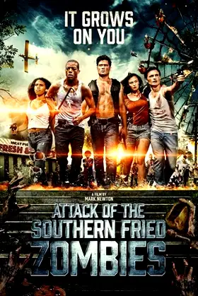 Attack of the Southern Fried Zombies poster