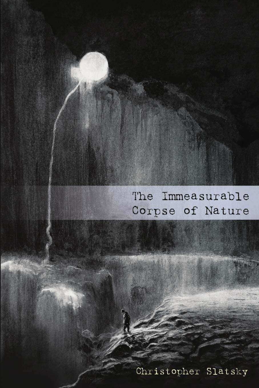 The Immeasurable Corpse of Nature poster