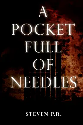 A Pocket Full Of Needles poster