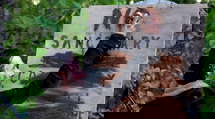 episode poster