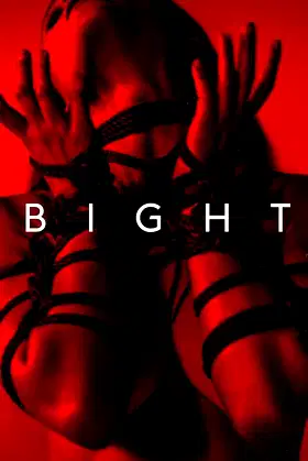 Bight poster
