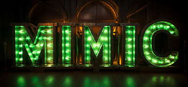 MIMIC capsule