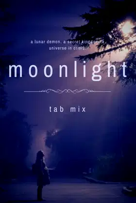 Moonlight poster