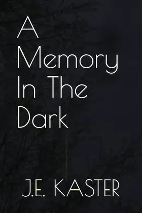 A Memory In The Dark poster