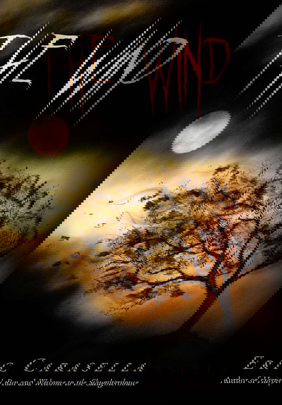 The Wind poster