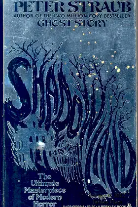 Shadowland poster