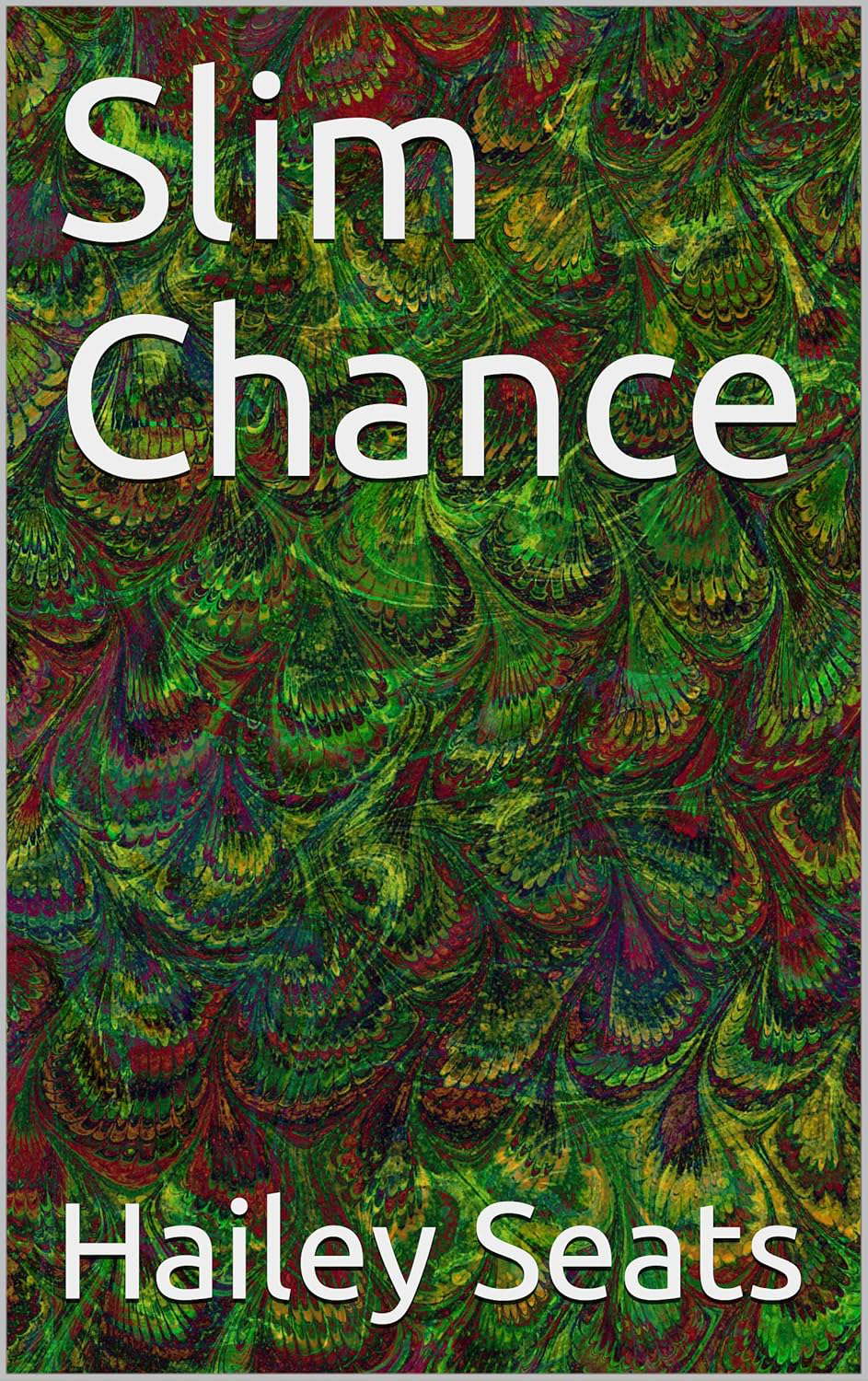 Slim Chance : Hide poster