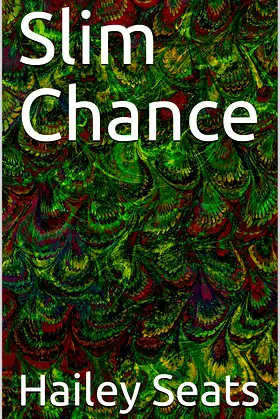 Slim Chance : Hide poster