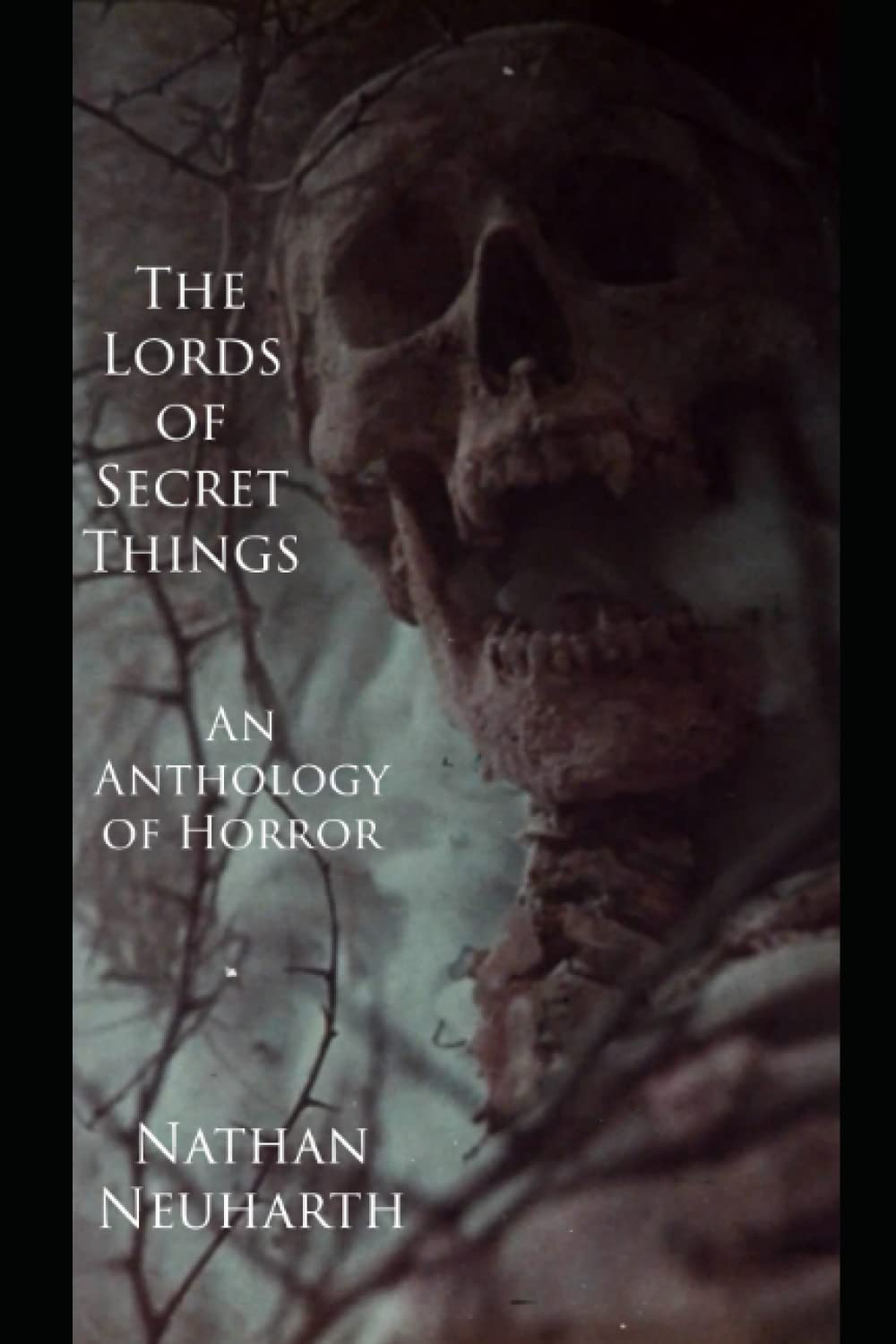 The Lords of Secret Things: An Anthology of Horror poster
