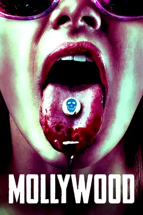 Mollywood poster