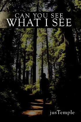 Can You See What I See poster