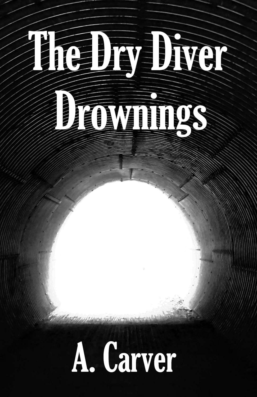 The Dry Diver Drownings (A Murder of Crows) poster
