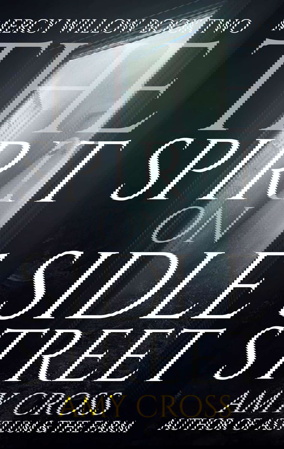 The Spirit on Sidle Street (Mercy Willow Book 2) poster