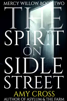 The Spirit on Sidle Street (Mercy Willow Book 2) poster