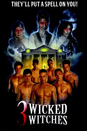 3 Wicked Witches poster